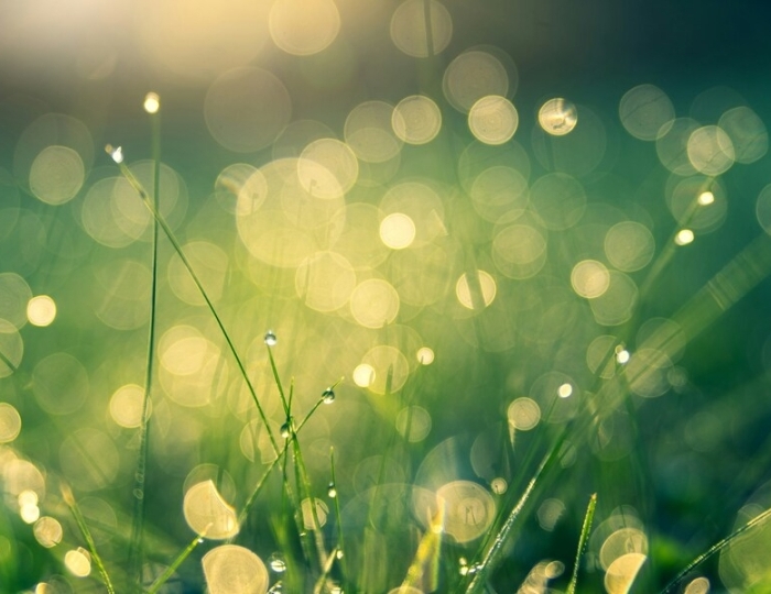 Общетерапевтическая - СКК «Адлеркурорт» (корпус «Коралл»)